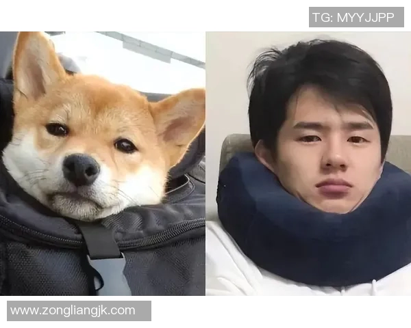 撞脸柴犬足球明星的可爱瞬间揭秘与萌宠的奇妙缘分