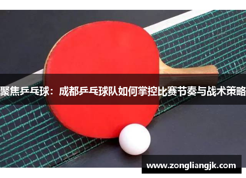 聚焦乒乓球:成都乒乓球队如何掌控比赛节奏与战术策略