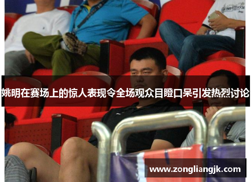 姚明在赛场上的惊人表现令全场观众目瞪口呆引发热烈讨论